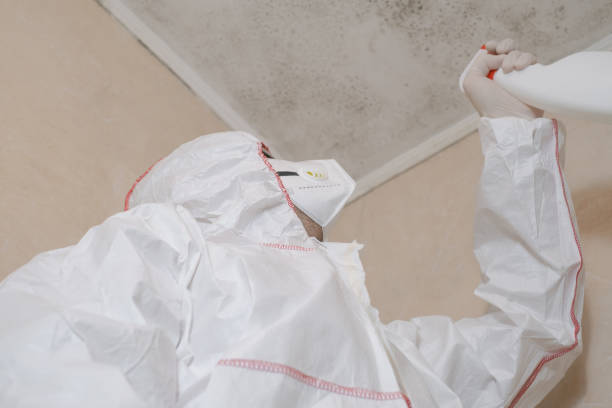 Best Attic Mold Removal  in Oakland, IA